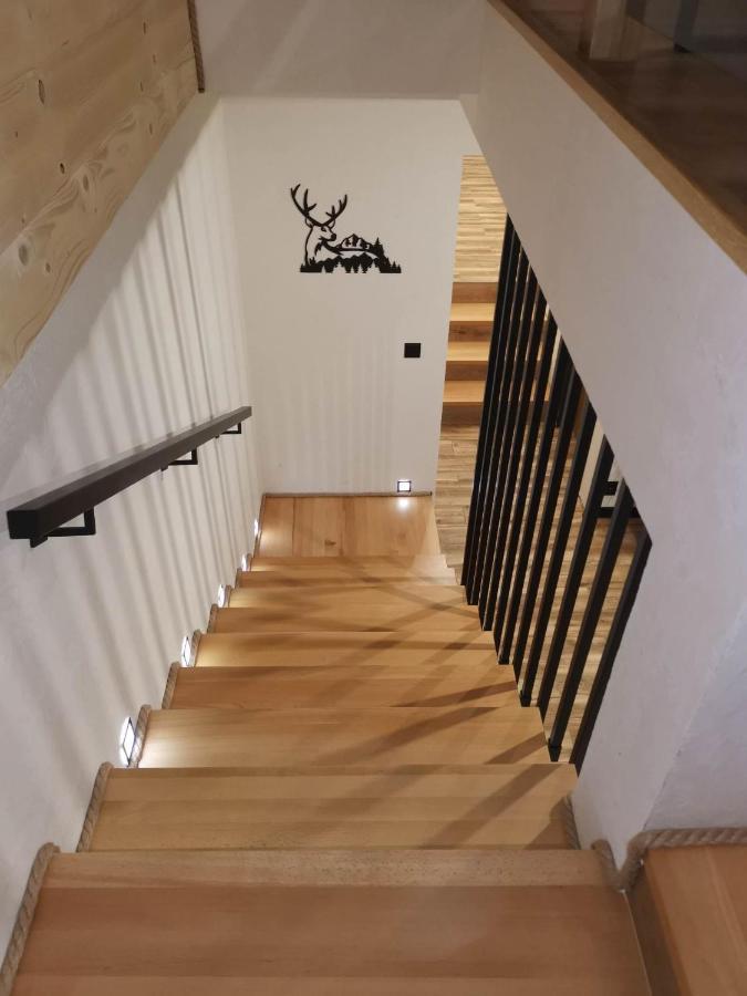 Apartament Skorusinka W Poblizu Chocholowskich Term Witów 외부 사진