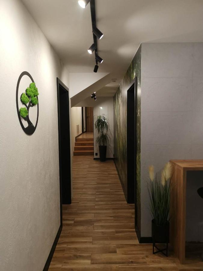 Apartament Skorusinka W Poblizu Chocholowskich Term Witów 외부 사진