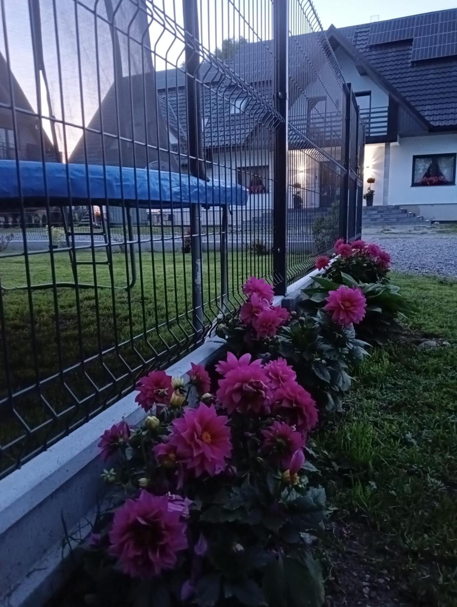 Apartament Skorusinka W Poblizu Chocholowskich Term Witów 외부 사진
